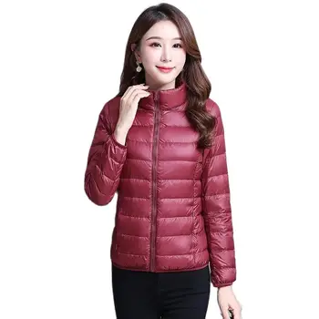 Модно дамско късо палто с памучна подплата, Зимни Дамски Нова Дамски Свободна корейската версия малка прясна зимни дрехи Tide